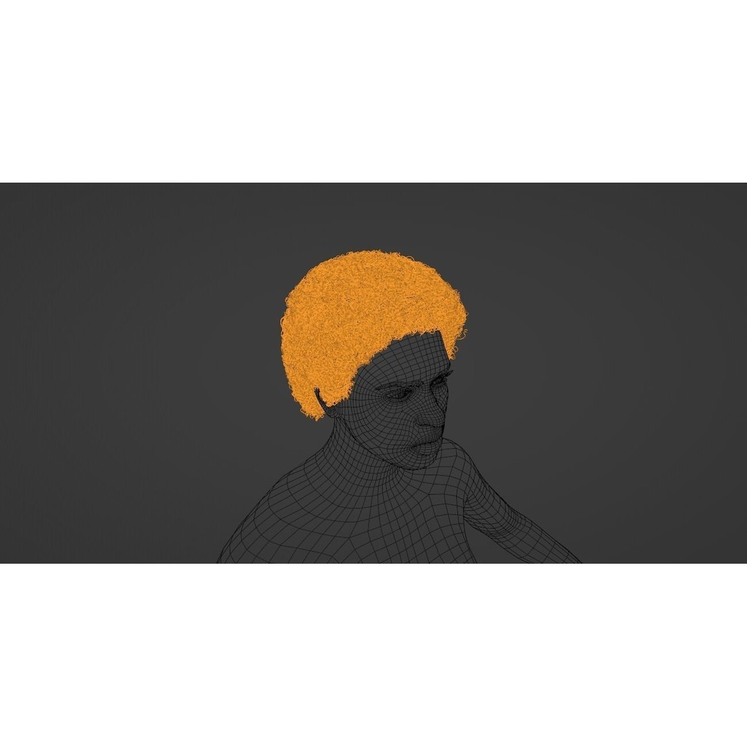 Black Afro 3D Model – Hair Asset with Particle System, Blender - View 17