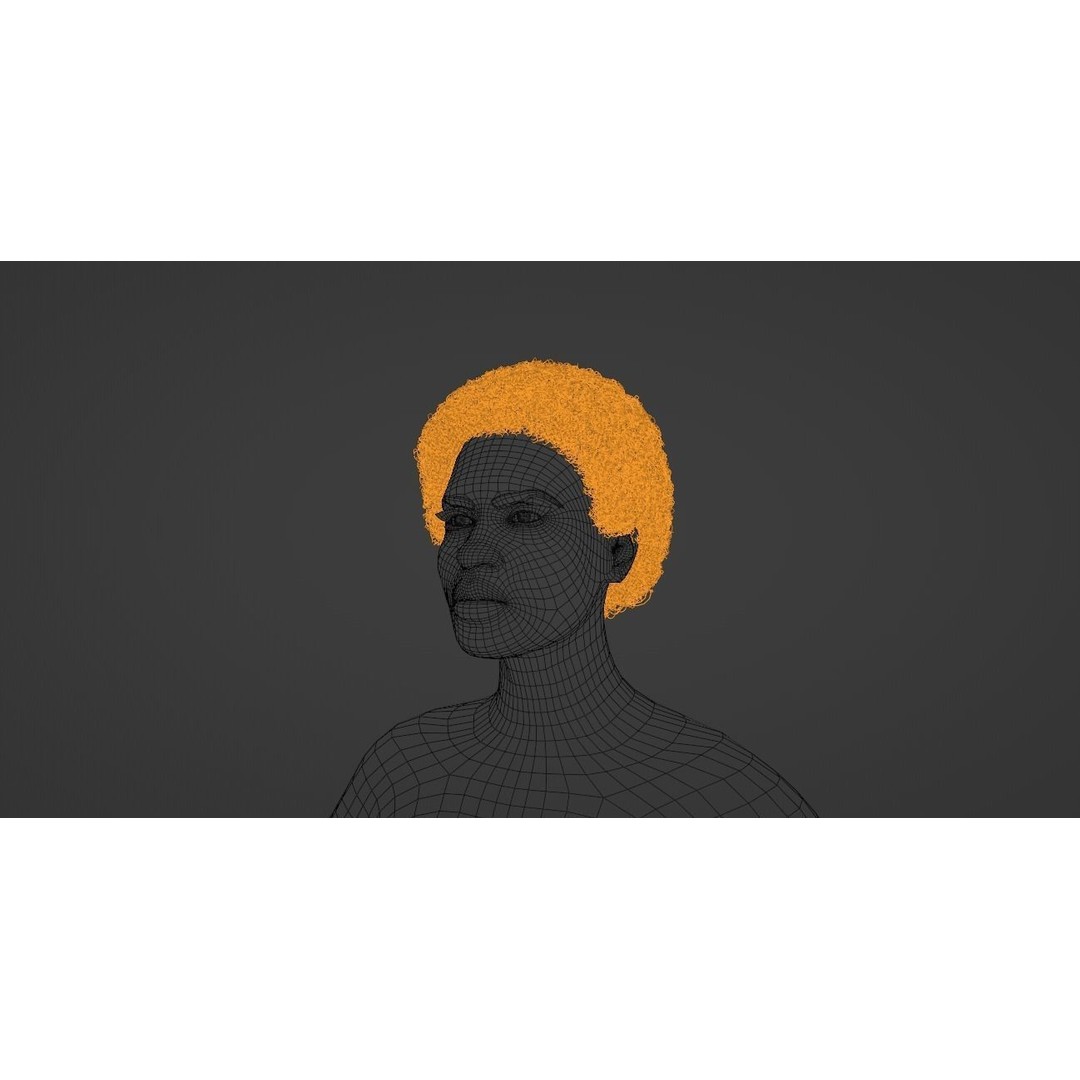 Black Afro 3D Model – Hair Asset with Particle System, Blender - View 18
