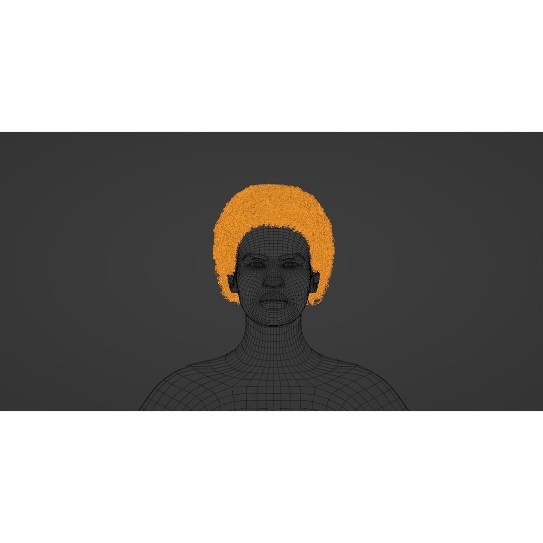 Black Afro 3D Model – Hair Asset with Particle System, Blender - View 19