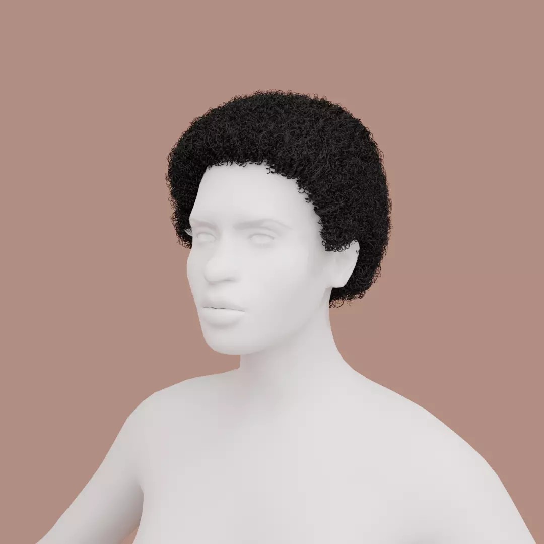 Black Afro 3D Model – Hair Asset with Particle System, Blender - View 2
