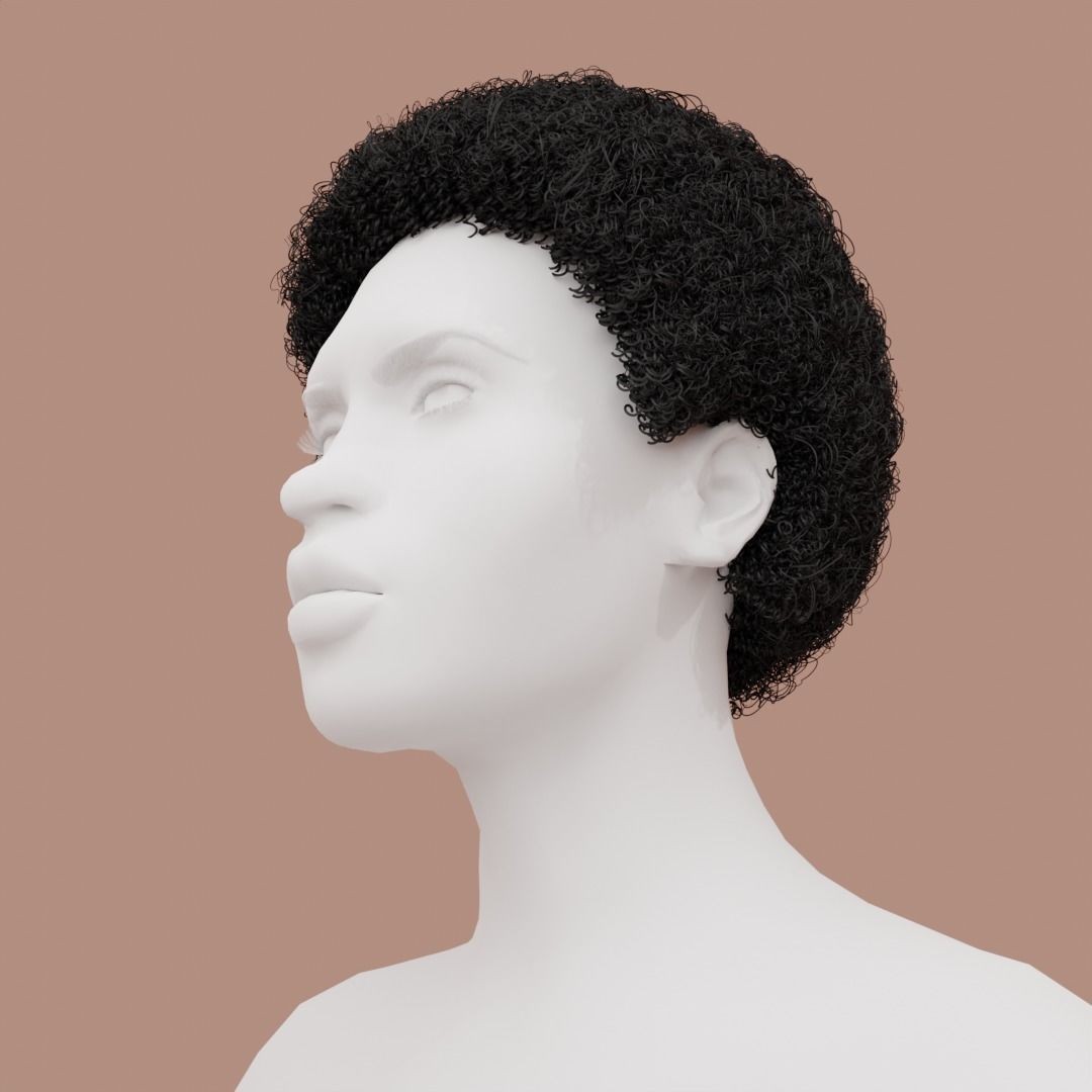Black Afro 3D Model – Hair Asset with Particle System, Blender - View 3
