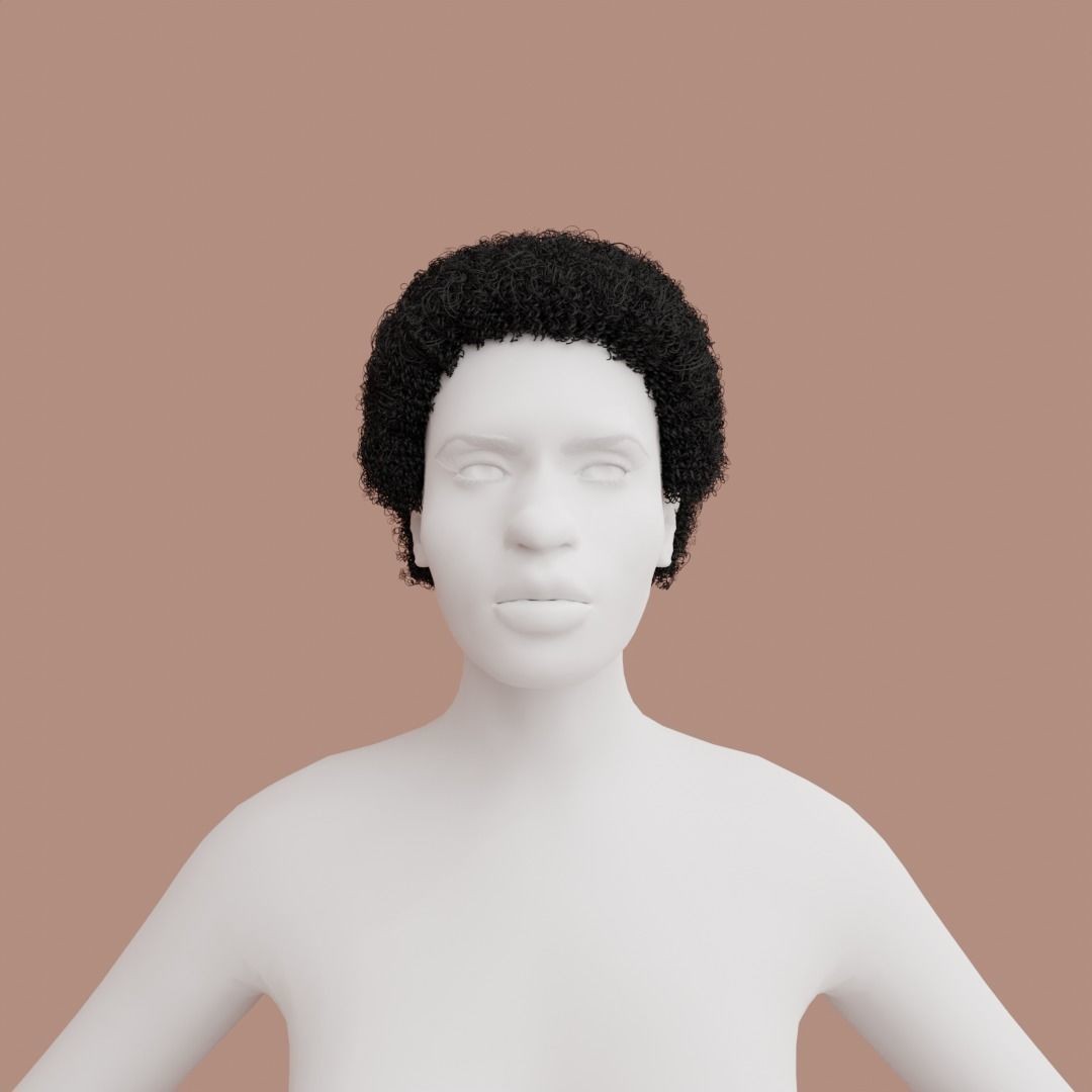 Black Afro 3D Model – Hair Asset with Particle System, Blender - View 4