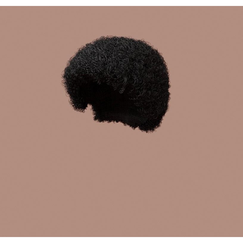 Black Afro 3D Model – Hair Asset with Particle System, Blender - View 6