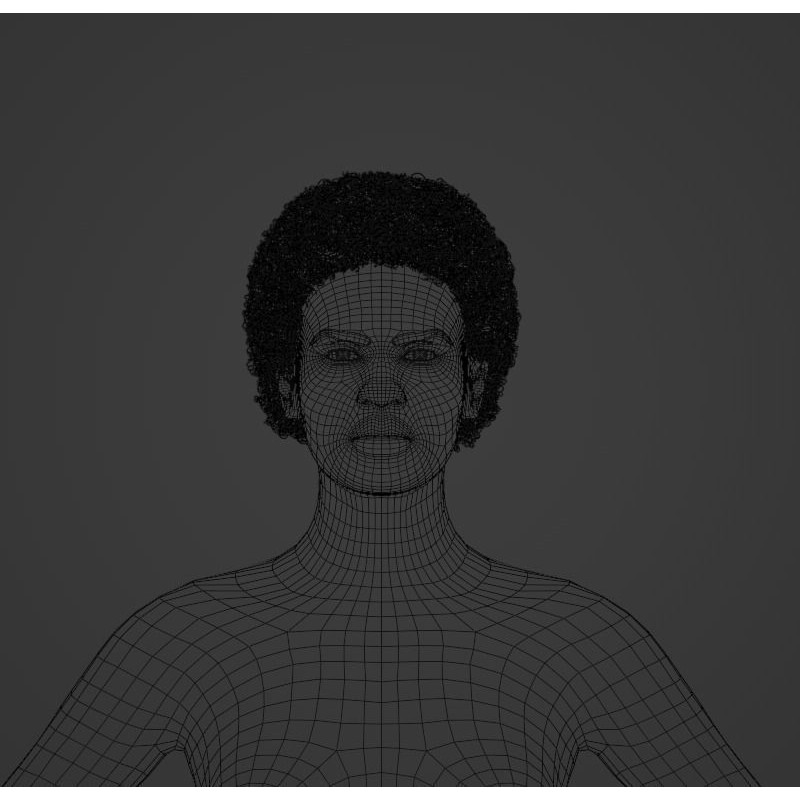 Black Afro 3D Model – Hair Asset with Particle System, Blender - View 7