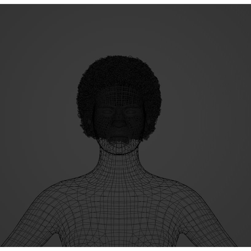 Black Afro 3D Model – Hair Asset with Particle System, Blender - View 8