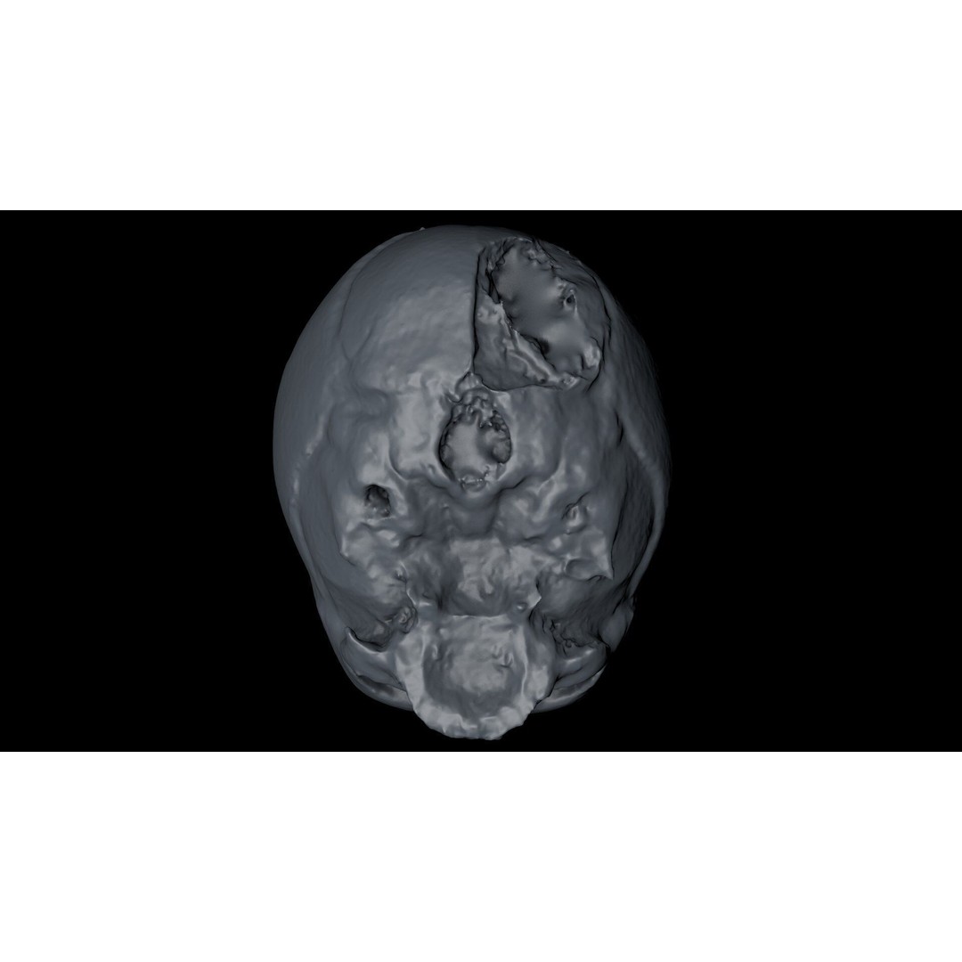 Fetus Skull 3D Model – High Poly Photogrammetry Scan, OBJ, FBX