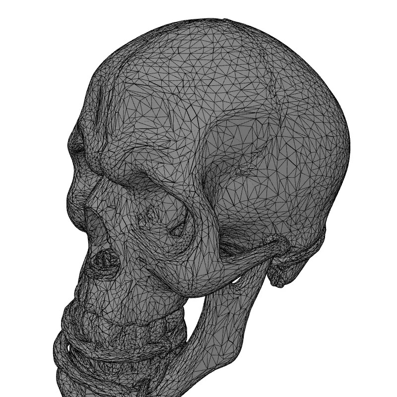 Mystical Skull Candle Holder 3D Model – Low Poly Gothic Prop, FBX