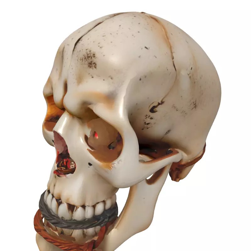 Mystical Skull Candle Holder 3D Model – Low Poly Gothic Prop, FBX - View 4