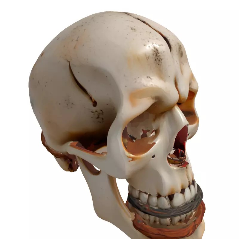 Mystical Skull Candle Holder 3D Model – Low Poly Gothic Prop, FBX - View 5