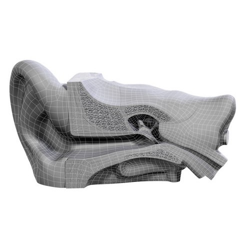 Human Ear 3D Model – High Definition Anatomical Asset, FBX/OBJ - View 12