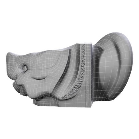 Human Ear 3D Model – High Definition Anatomical Asset, FBX/OBJ - View 18