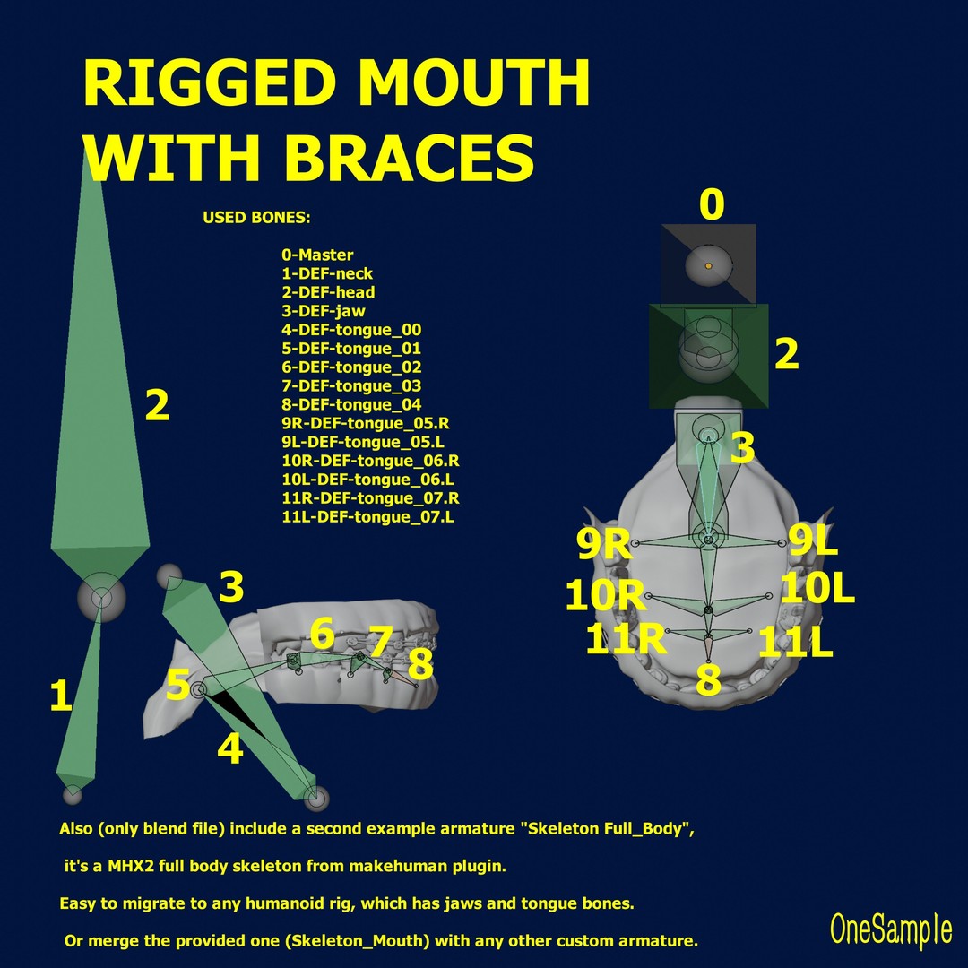 Mouth with Braces 3D Model – Low Poly Rigged Character Asset, Blender - View 26