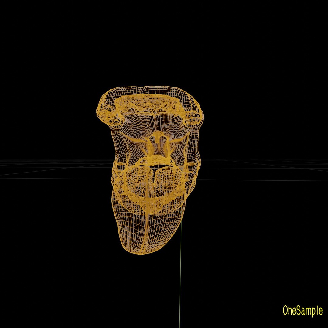 Mouth with Braces 3D Model – Low Poly Rigged Character Asset, Blender - View 34