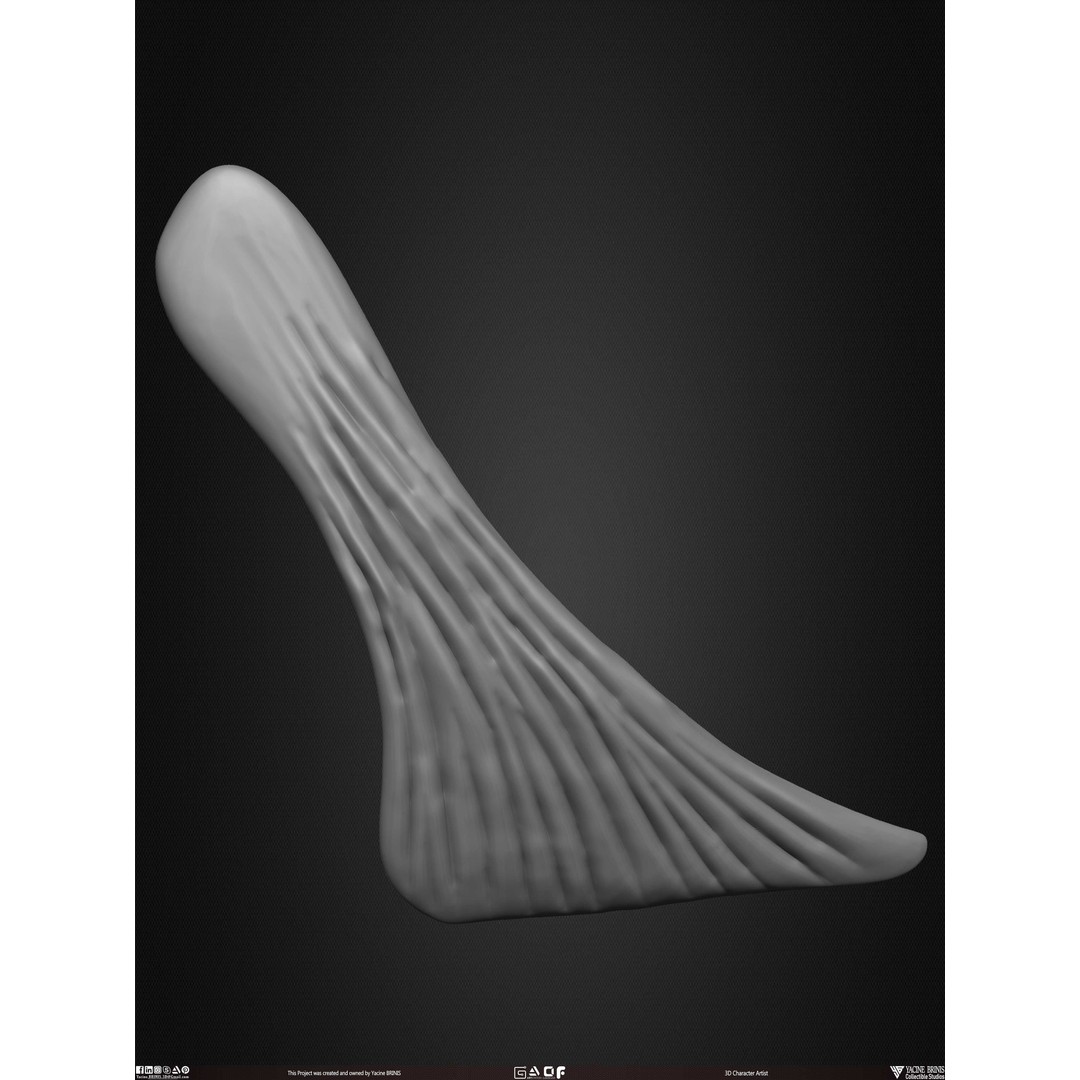 Male Facial Muscle Ecorche 3D Model – Low Poly Character Anatomy, OBJ