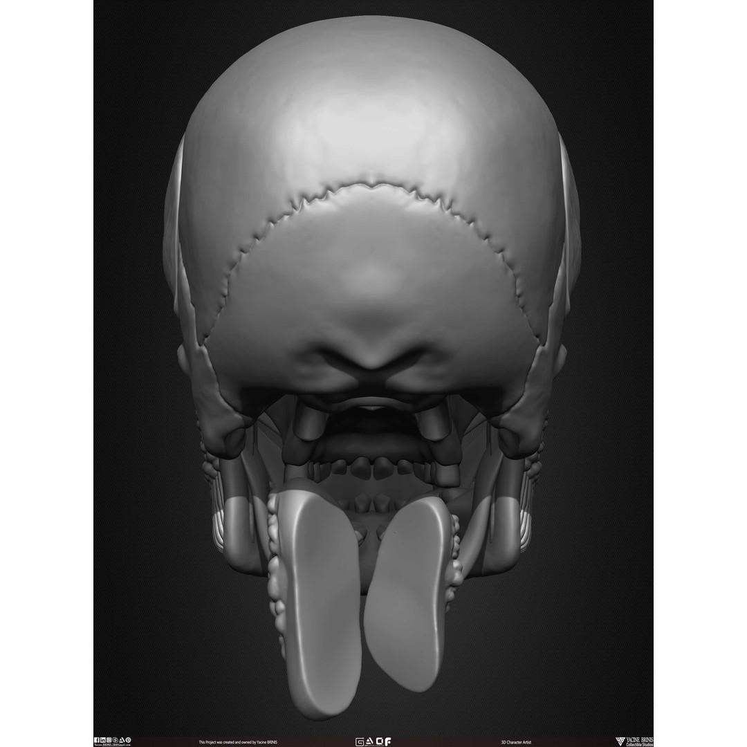 Male Facial Muscle Ecorche 3D Model – Low Poly Character Anatomy, OBJ - View 19