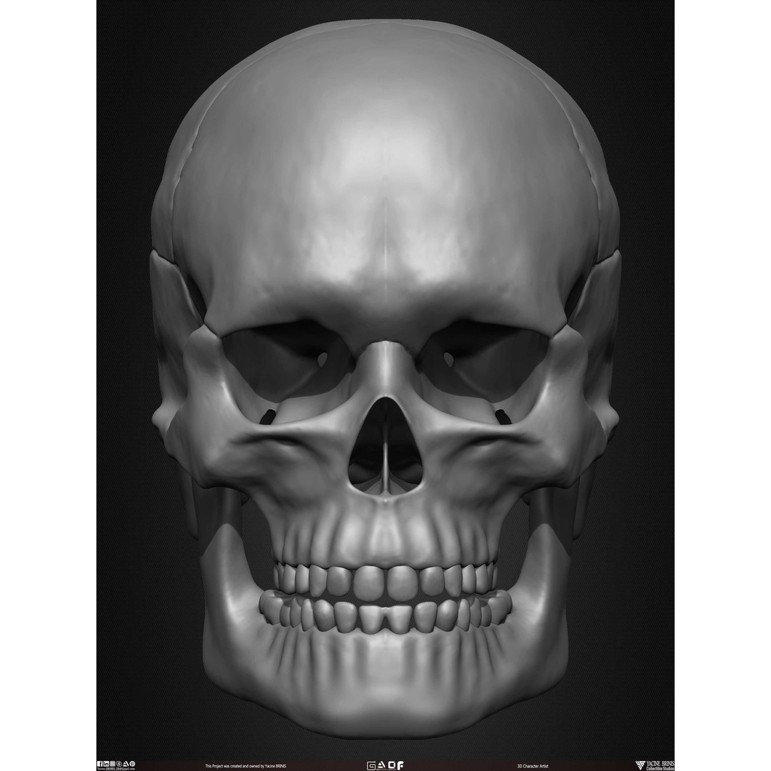 Male Facial Muscle Ecorche 3D Model – Low Poly Character Anatomy, OBJ - View 25