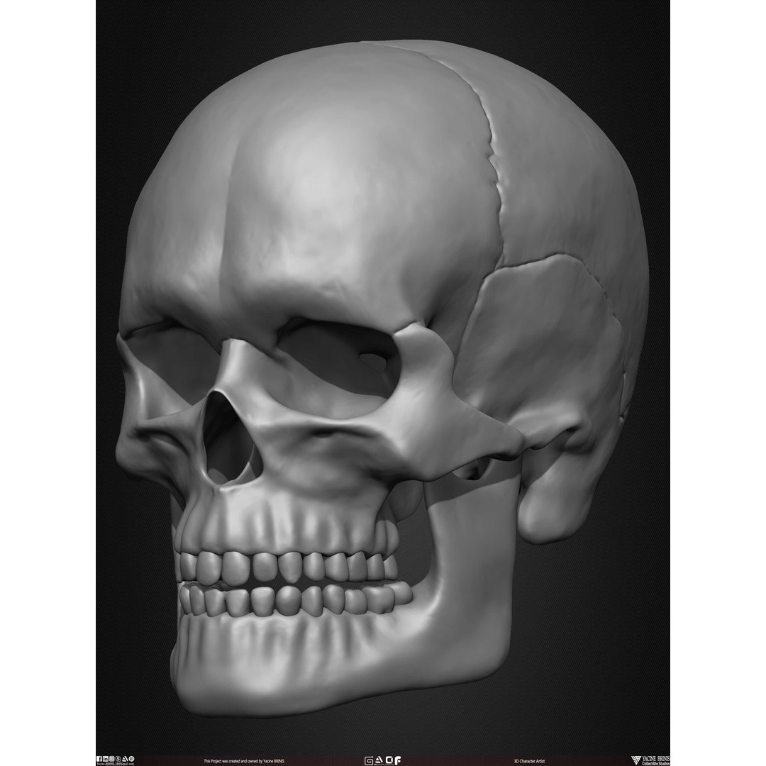 Male Facial Muscle Ecorche 3D Model – Low Poly Character Anatomy, OBJ - View 26