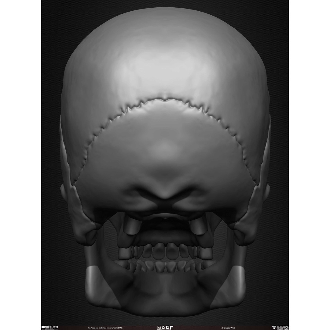 Male Facial Muscle Ecorche 3D Model – Low Poly Character Anatomy, OBJ - View 29
