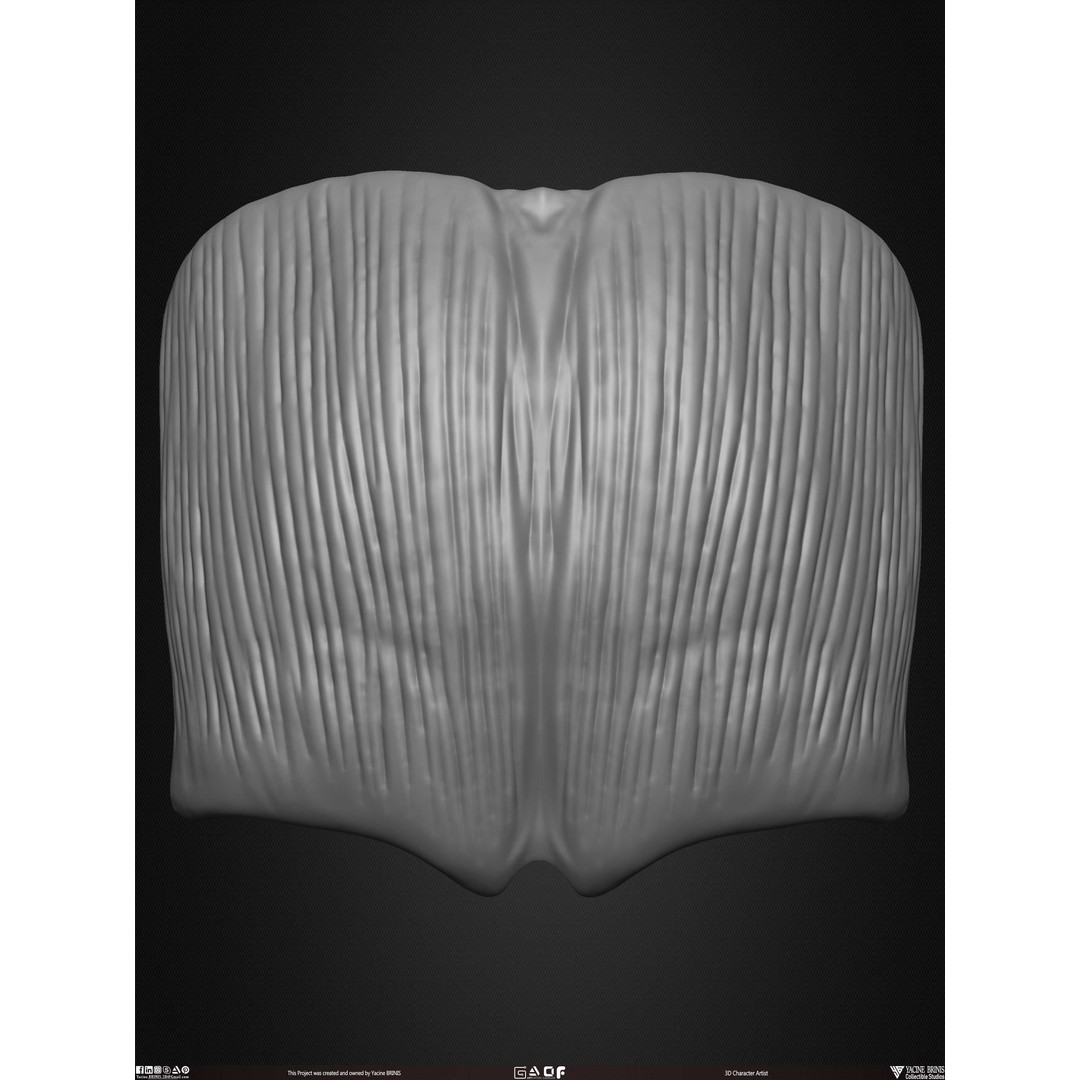 Male Facial Muscle Ecorche 3D Model – Low Poly Character Anatomy, OBJ - View 38