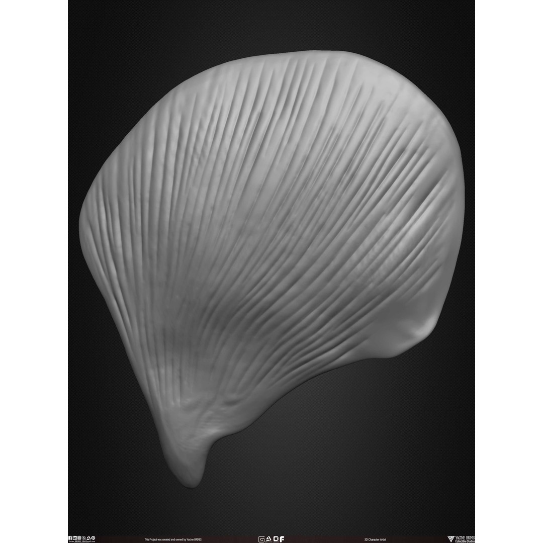 Male Facial Muscle Ecorche 3D Model – Low Poly Character Anatomy, OBJ - View 40