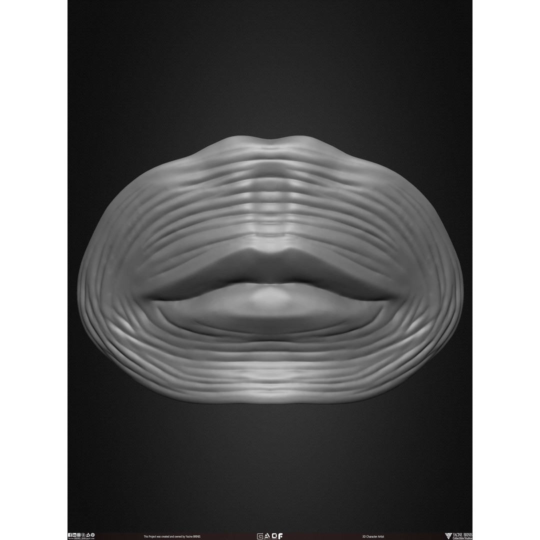 Male Facial Muscle Ecorche 3D Model – Low Poly Character Anatomy, OBJ - View 42