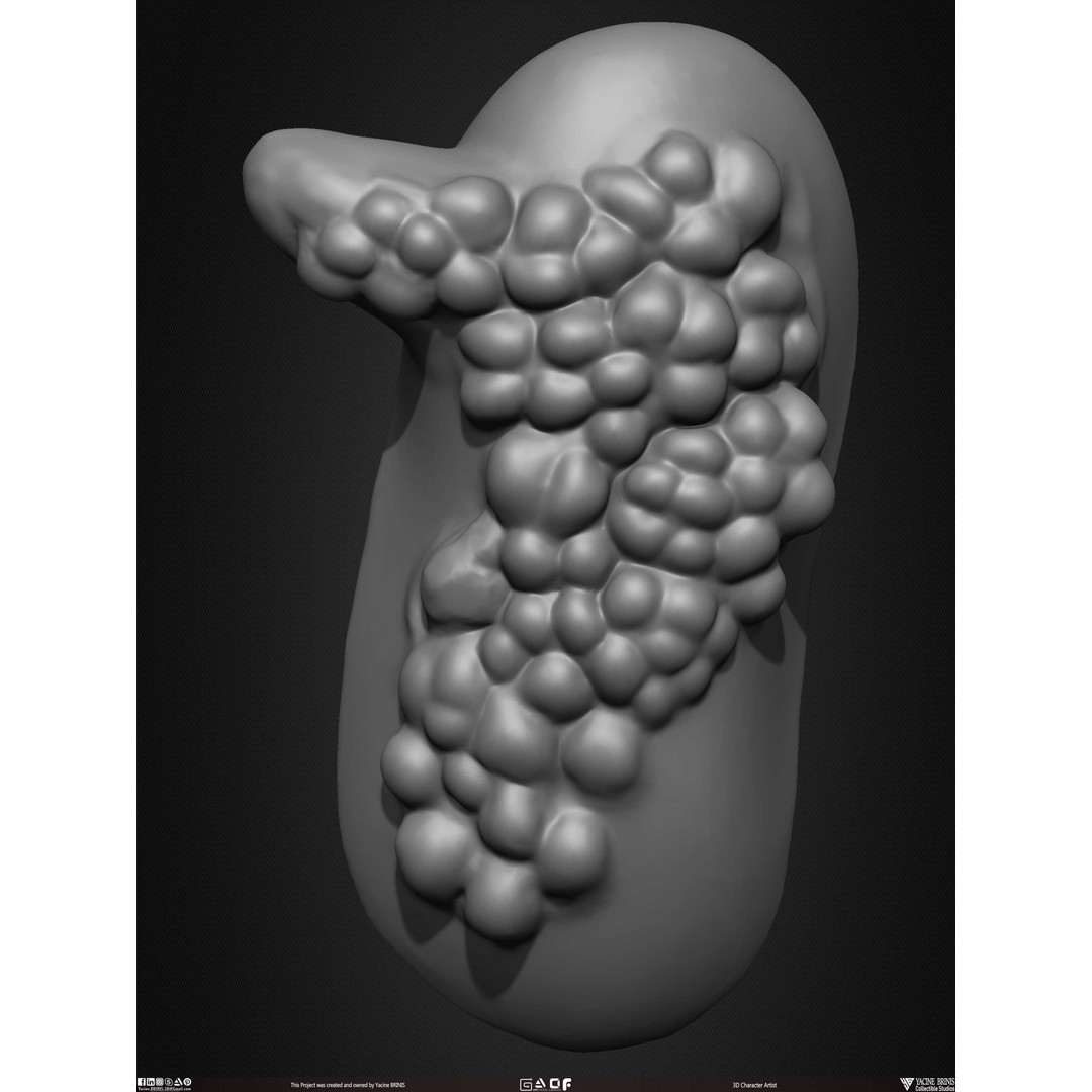 Male Facial Muscle Ecorche 3D Model – Low Poly Character Anatomy, OBJ - View 47