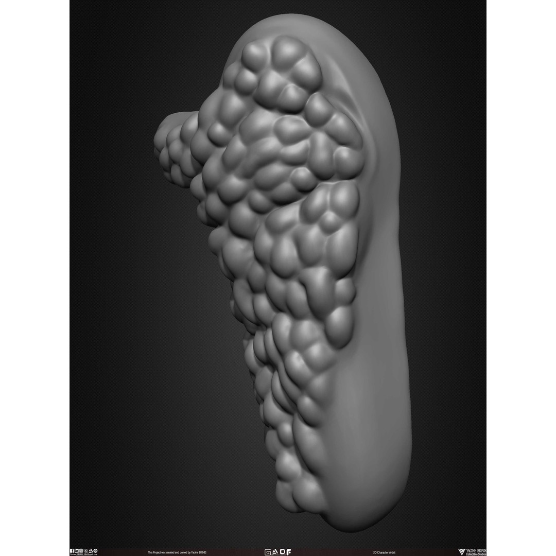 Male Facial Muscle Ecorche 3D Model – Low Poly Character Anatomy, OBJ - View 49