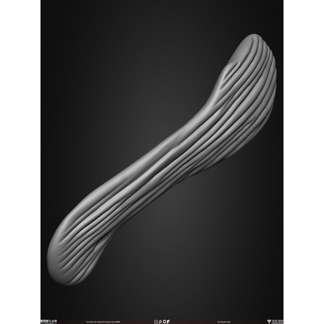 Male Facial Muscle Ecorche 3D Model – Low Poly Character Anatomy, OBJ - View 51