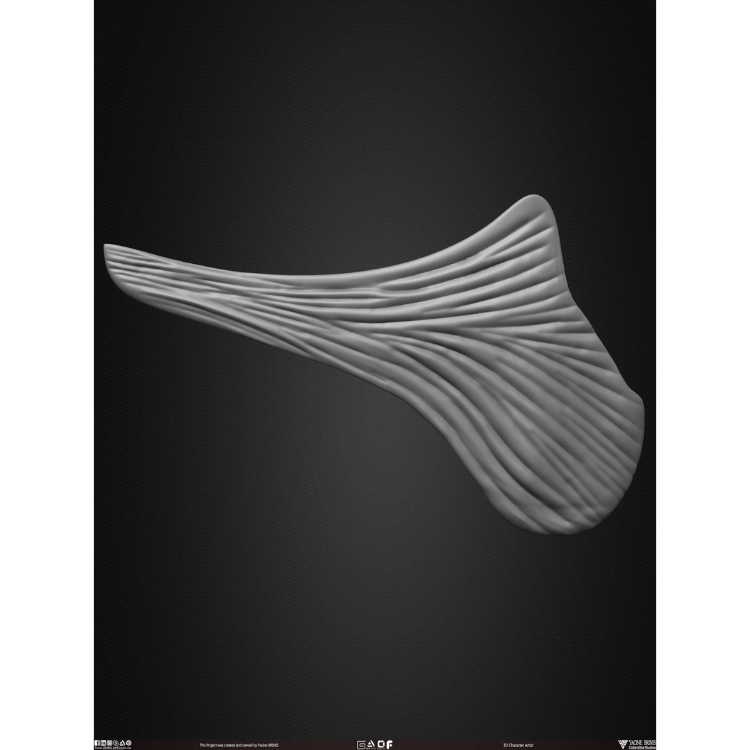 Male Facial Muscle Ecorche 3D Model – Low Poly Character Anatomy, OBJ - View 52