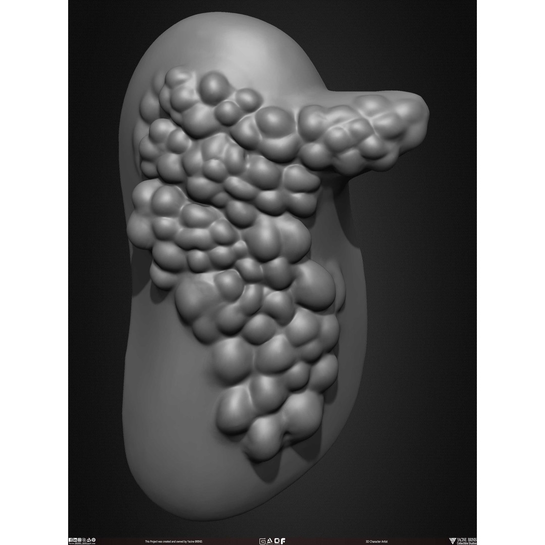 Male Facial Muscle Ecorche 3D Model – Low Poly Character Anatomy, OBJ - View 53