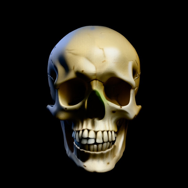 Realistic Human Skull 3D Model – Low Poly Game Asset, FBX, PBR Textures - View 5
