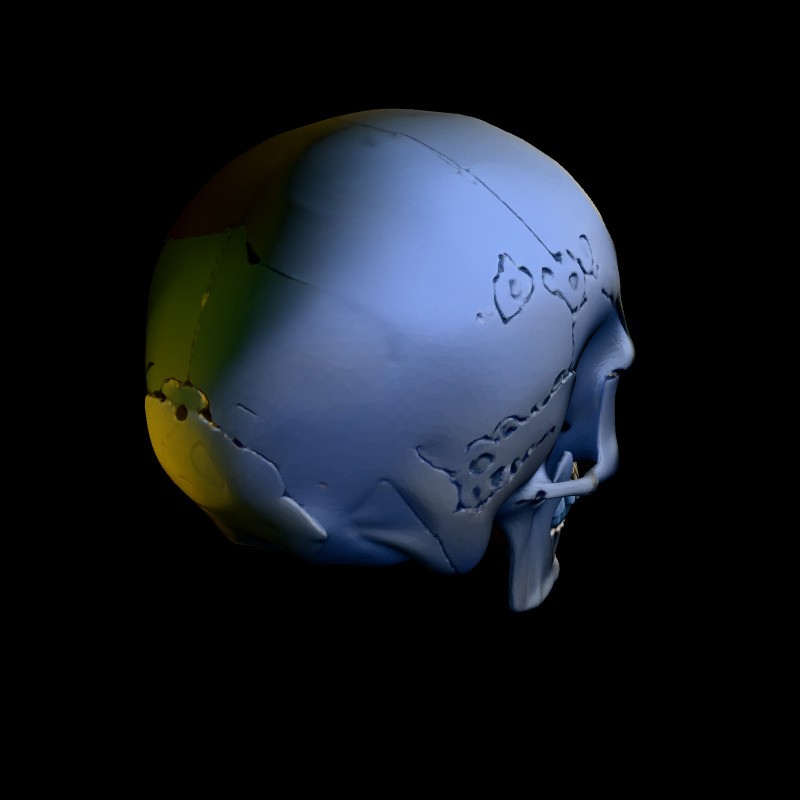 Realistic Human Skull 3D Model – Low Poly Game Asset, FBX, PBR Textures - View 7
