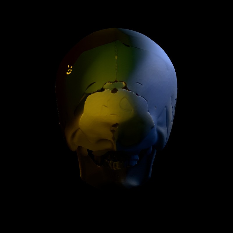 Realistic Human Skull 3D Model – Low Poly Game Asset, FBX, PBR Textures - View 8
