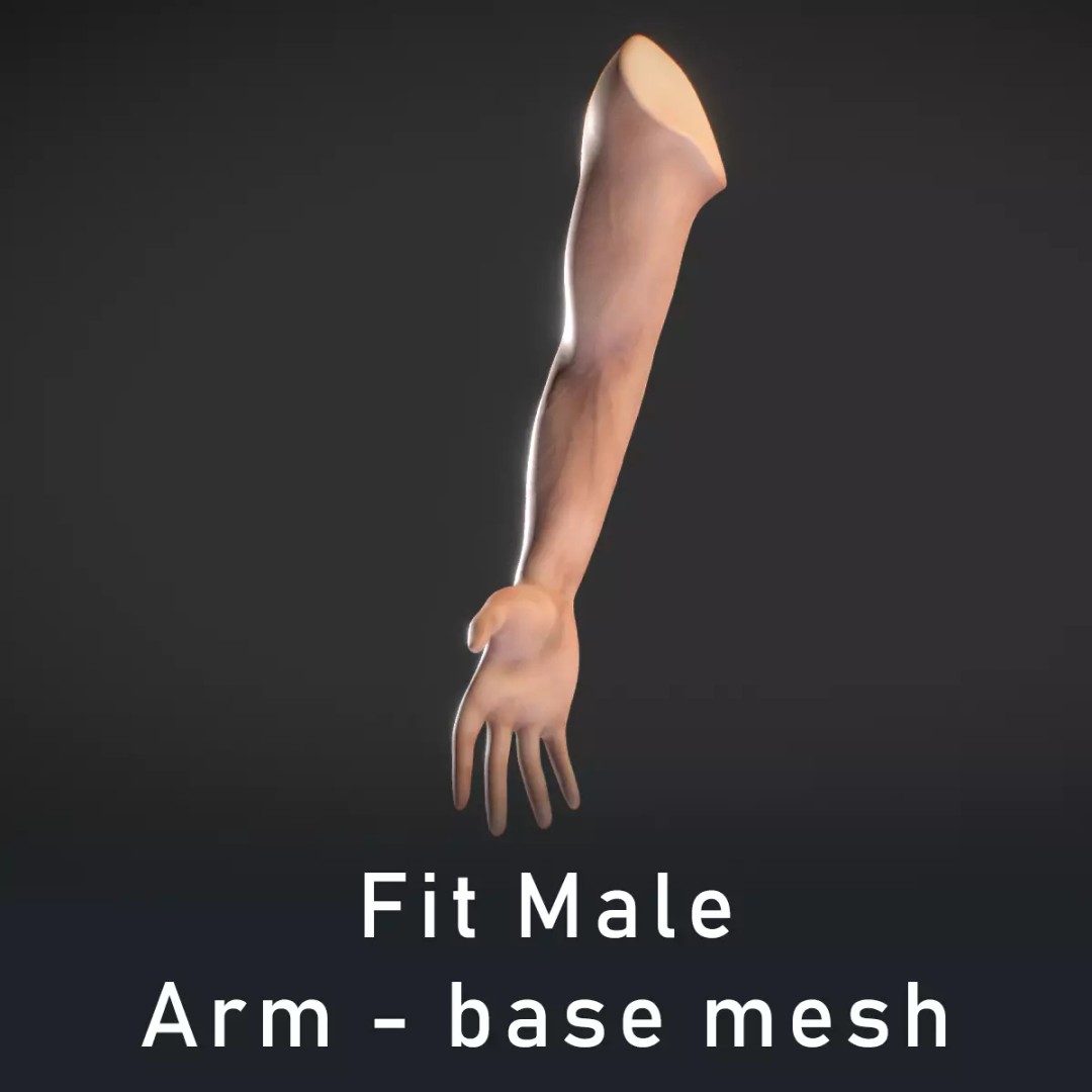 Human Male Arm 3D Model – Anatomy Sculpt with PBR Textures, OBJ - View 2