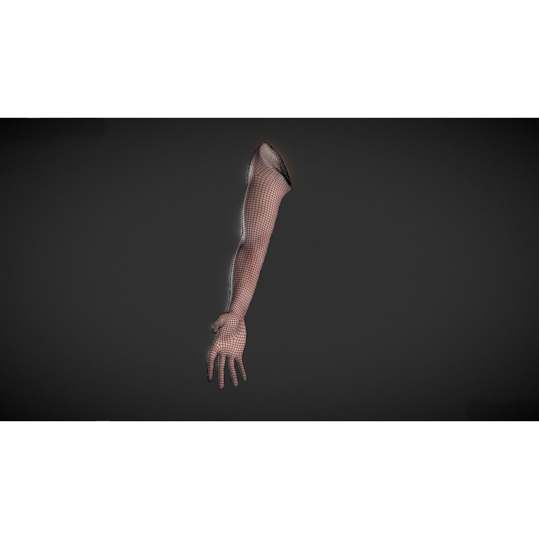 Human Male Arm 3D Model – Anatomy Sculpt with PBR Textures, OBJ - View 4