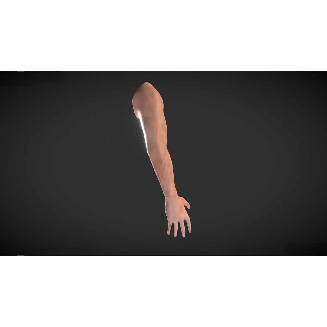 Human Male Arm 3D Model – Anatomy Sculpt with PBR Textures, OBJ - View 5