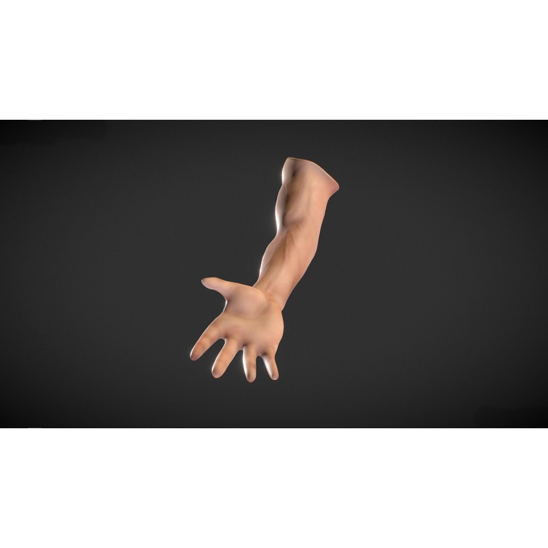 Human Male Arm 3D Model – Anatomy Sculpt with PBR Textures, OBJ - View 7