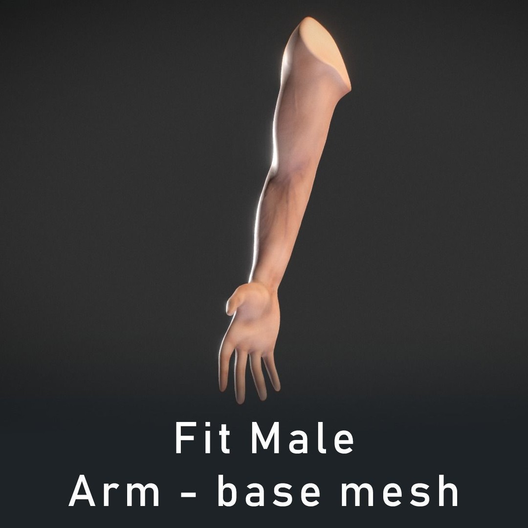 Human Male Arm 3D Model – Anatomy Sculpt with PBR Textures, OBJ - View 8