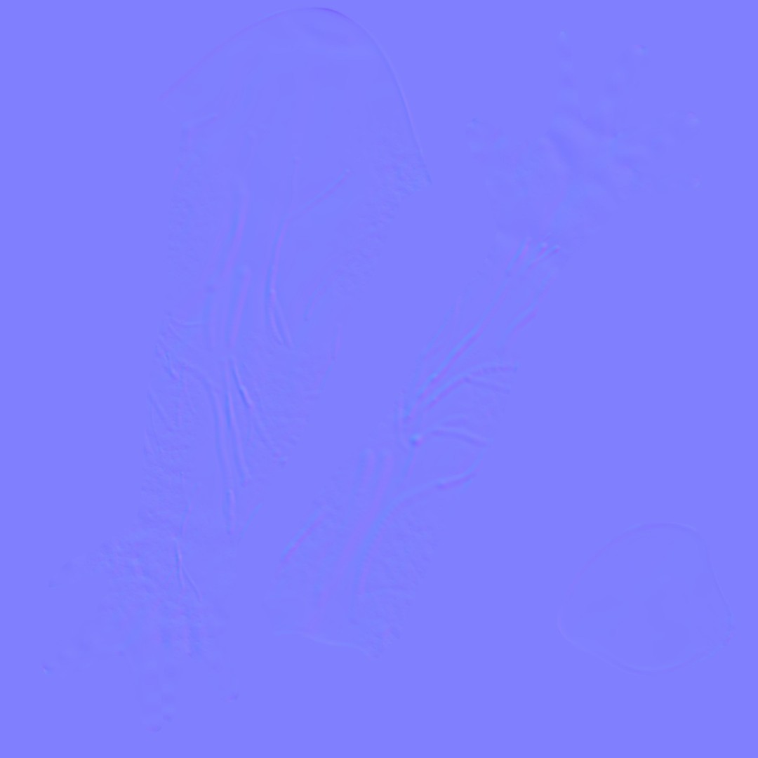 Human Male Arm 3D Model – Anatomy Sculpt with PBR Textures, OBJ - View 9