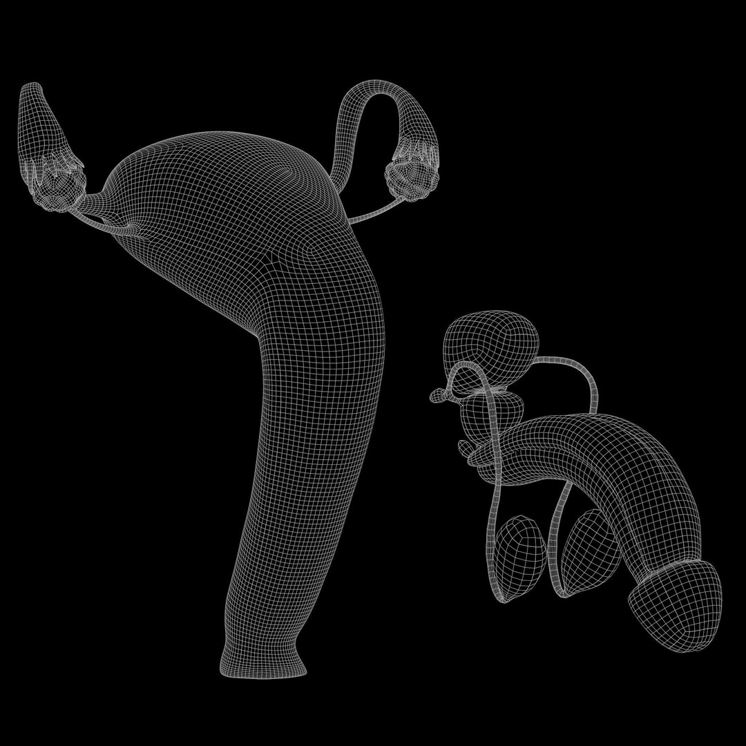 Female and Male Reproductive System 3D Model – PBR Medical Asset, FBX, OBJ