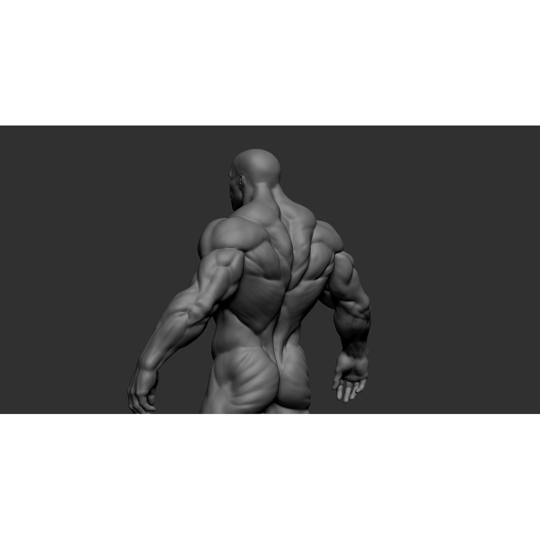 Basemesh Superhero 3D Model – Fully Editable Character Asset, ZTL