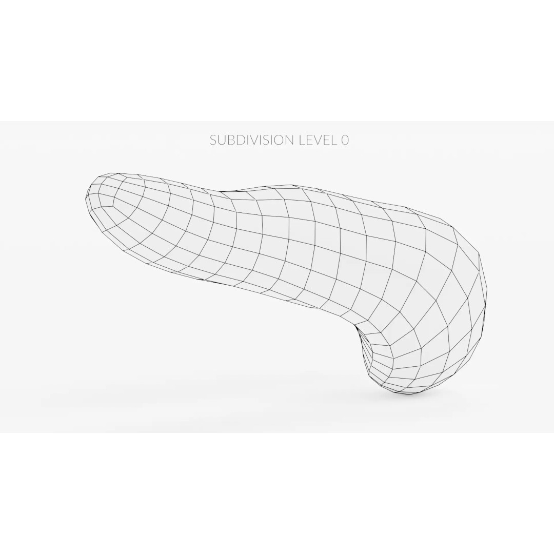 Human Pancreas 3D Model – Realistic Anatomy for Medical Visualization - View 14