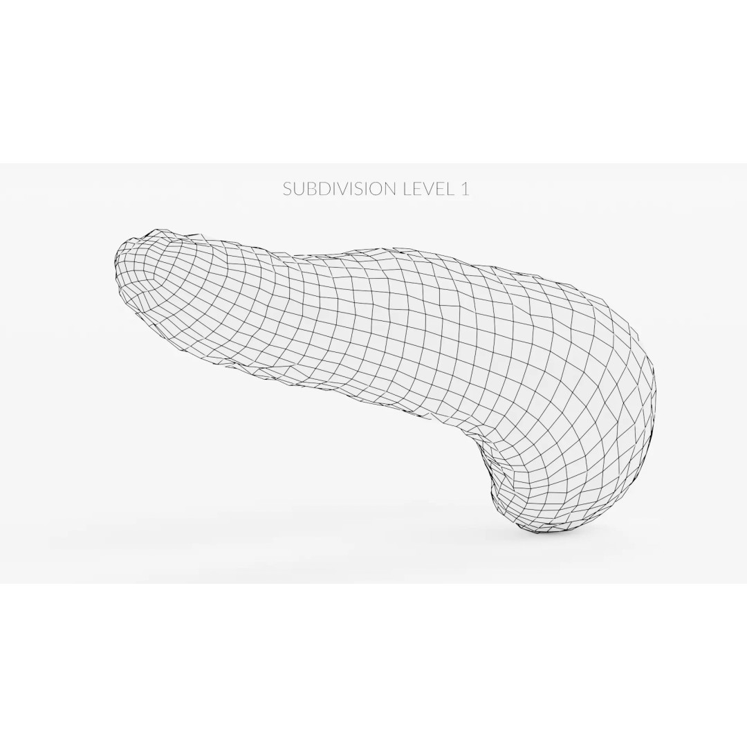 Human Pancreas 3D Model – Realistic Anatomy for Medical Visualization - View 15