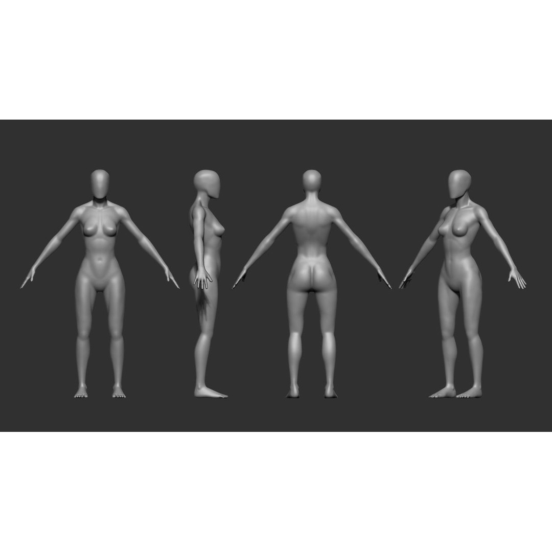 Faceless Body 3D Model – Male and Female Base Mesh, OBJ