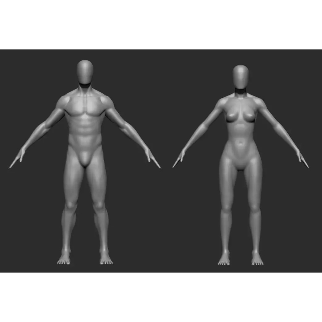 Faceless Body 3D Model – Male and Female Base Mesh, OBJ - View 2
