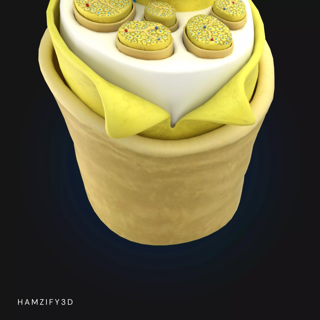 3D Peripheral Nerve Structure 3D Model – Detailed Anatomy Cross Section, FBX - View 5