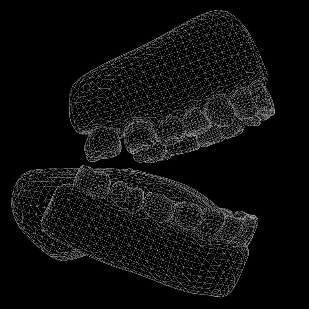 Human Mouth 3D Model – Realistic Teeth and Tongue, PBR Textures