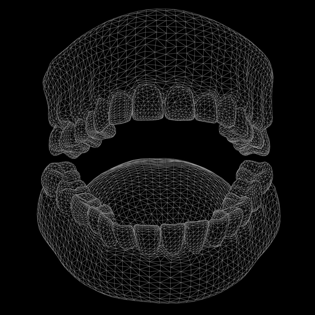 Human Mouth 3D Model – Realistic Teeth and Tongue, PBR Textures - View 10