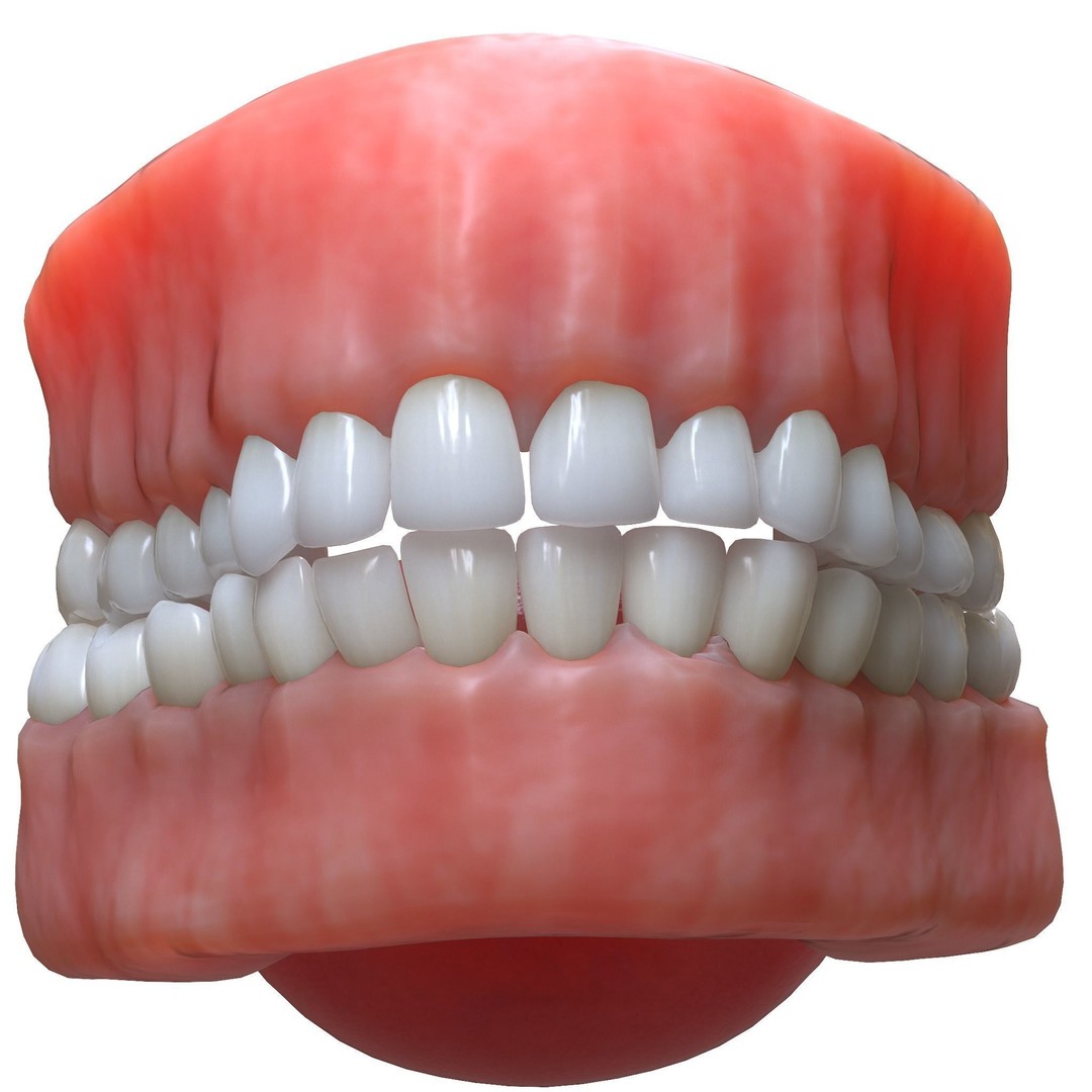 Human Mouth 3D Model – Realistic Teeth and Tongue, PBR Textures - View 3