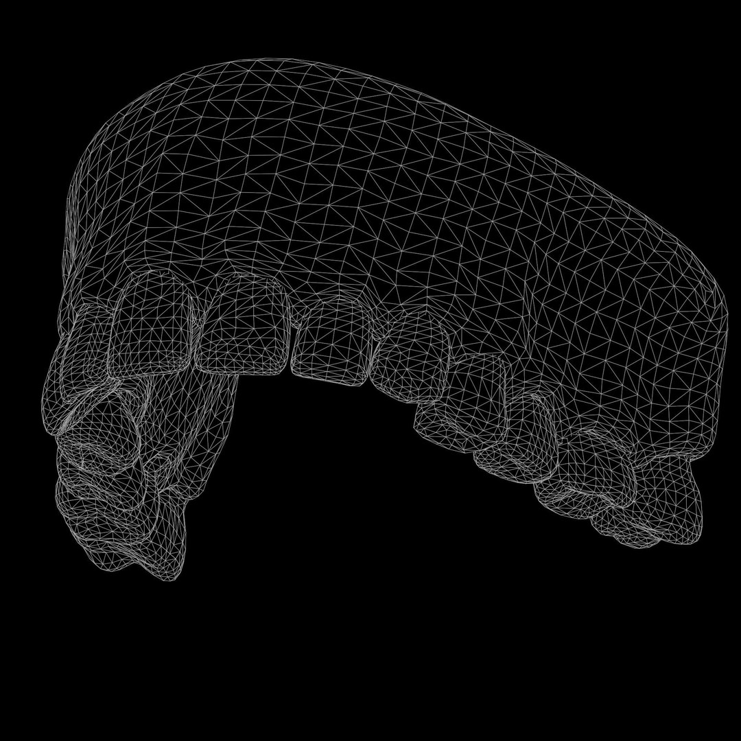 Human Mouth 3D Model – Realistic Teeth and Tongue, PBR Textures - View 9